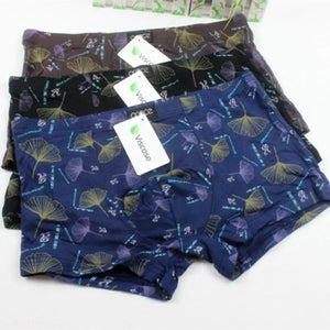 Jeliya 2 boxed boxer briefs Heaventlyshop