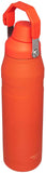 Stanley IceFlow Fast Flow Water Bottle 16-50 OZ | Angled Spout Lid | Lightweight & Leakproof for Travel & Sports | Insulated Stainless Steel | BPA-Free 36 Oz Tigerlily Heaventlyshop