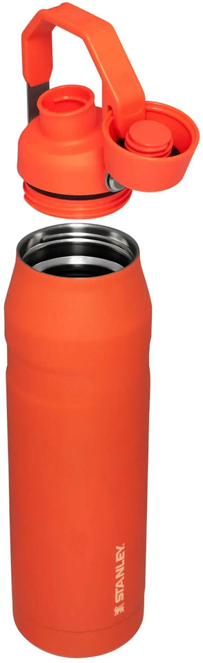 Stanley IceFlow Fast Flow Water Bottle 16-50 OZ | Angled Spout Lid | Lightweight & Leakproof for Travel & Sports | Insulated Stainless Steel | BPA-Free 36 Oz Tigerlily Heaventlyshop